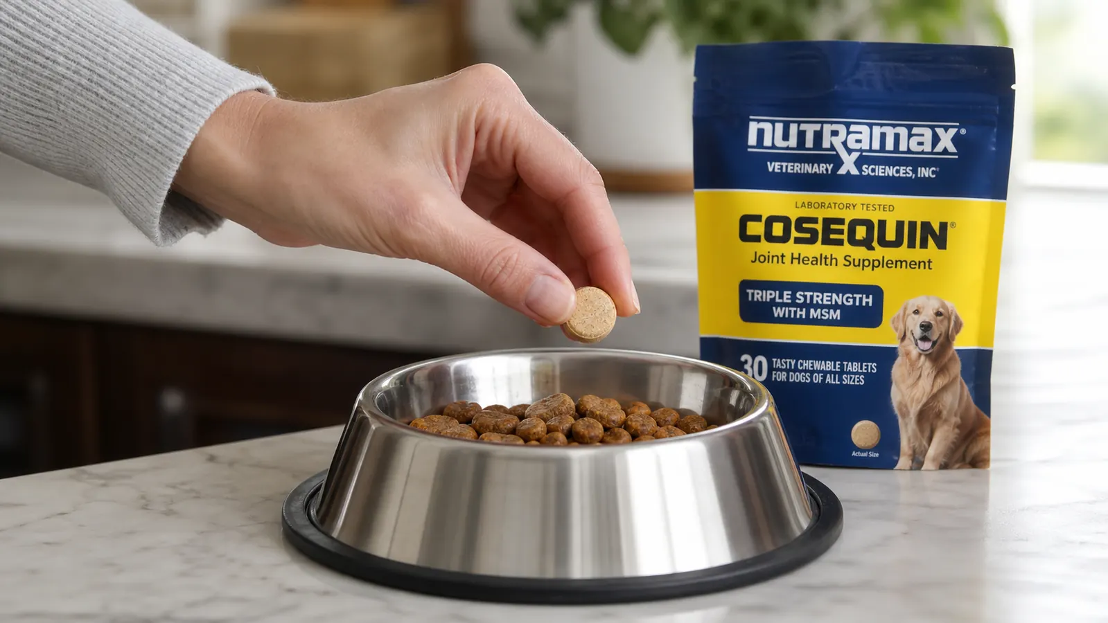 A hand dropping a Cosequin chewable tablet into a stainless steel dog bowl filled with kibble