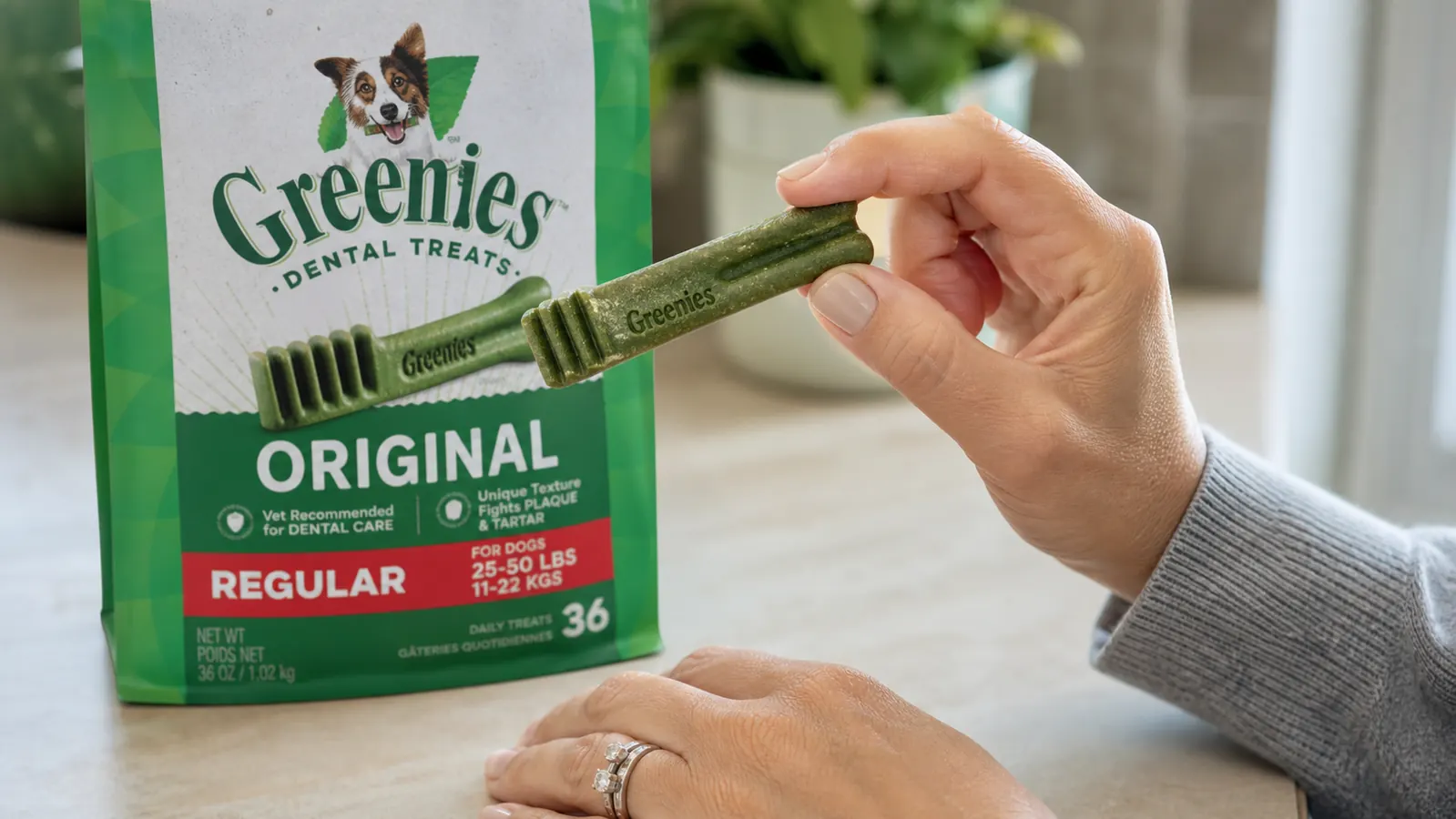 Close-up of a Greenies dental chew being examined by a person holding it between two fingers