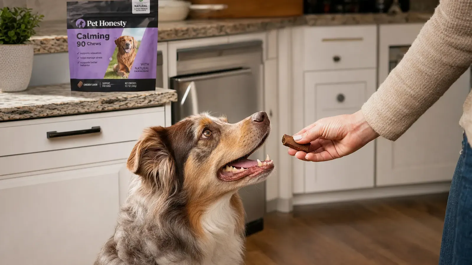 A hand holding a Pet Honesty calming chew over a dog bowl while a dog looks up eagerly from the floor
