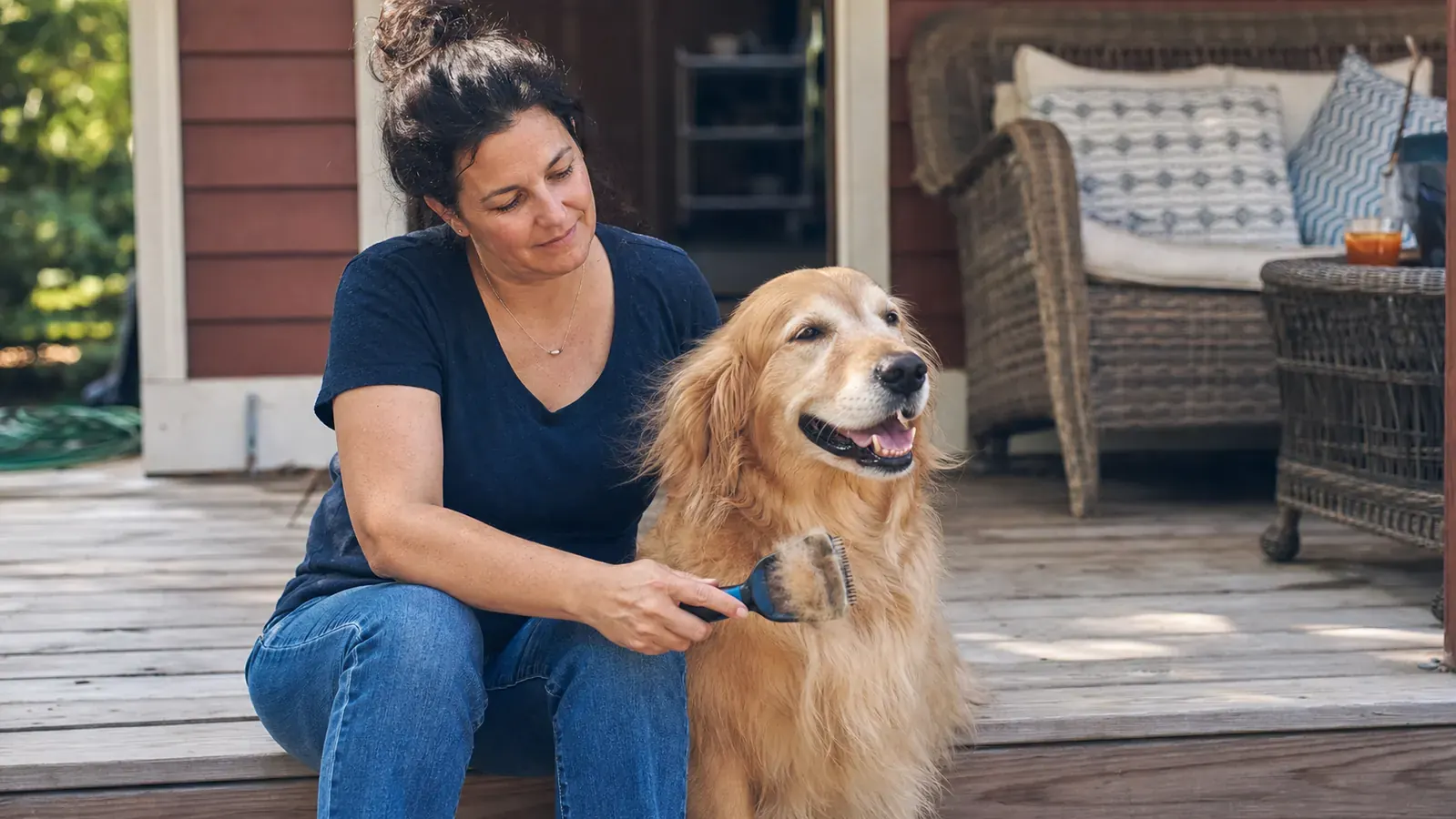 How to Reduce Dog and Cat Shedding at Home: A Groomer's Approach